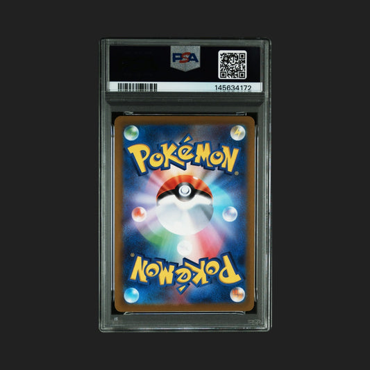 【PSA10】エンテイV SAR