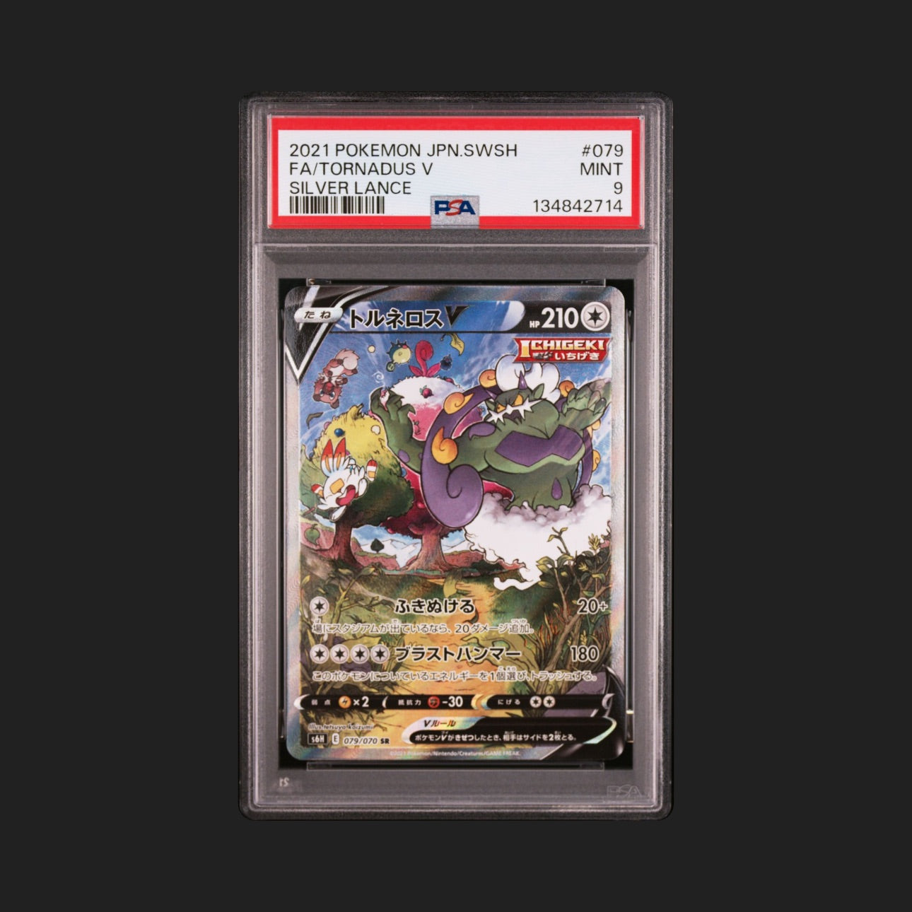【PSA9】トルネロスV SA