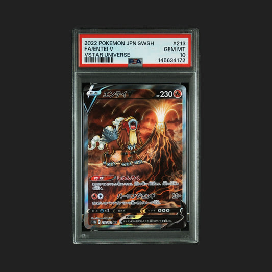 【PSA10】エンテイV SAR
