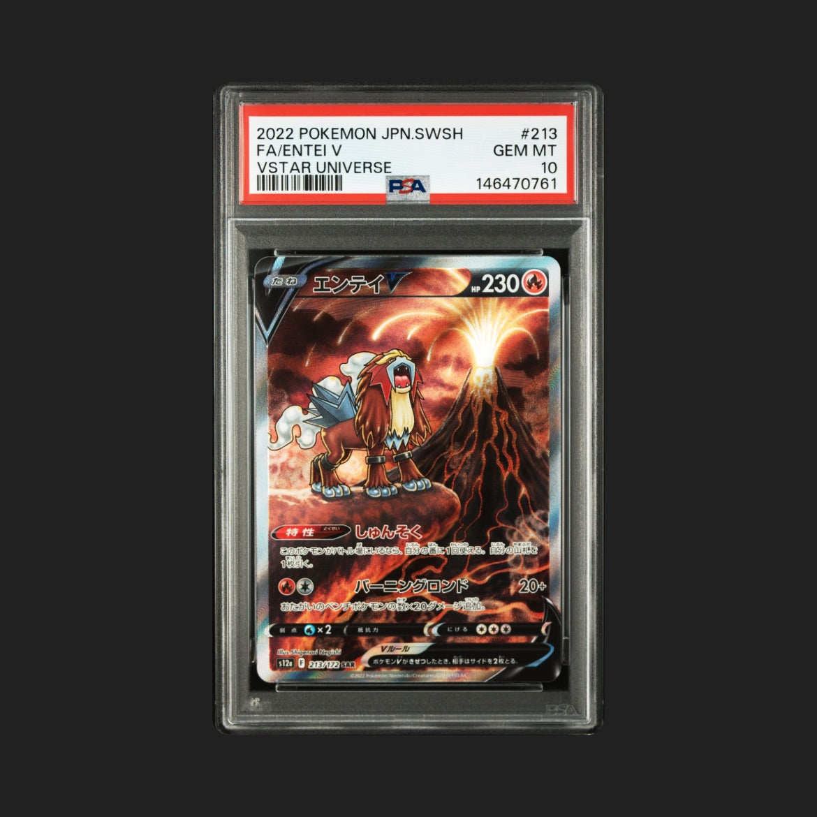 【PSA10】エンテイV SAR