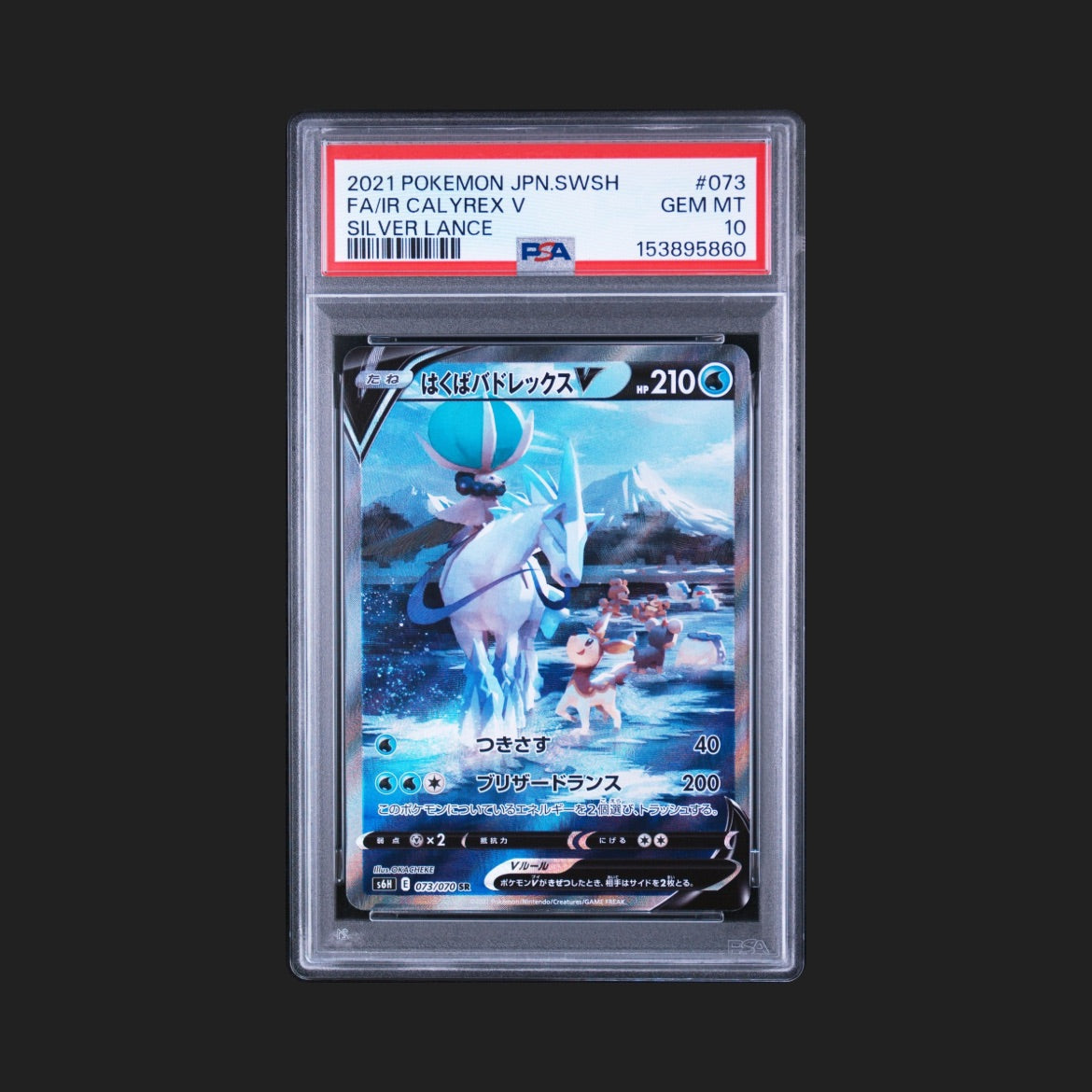 【PSA10】 はくばバドレックスV SA