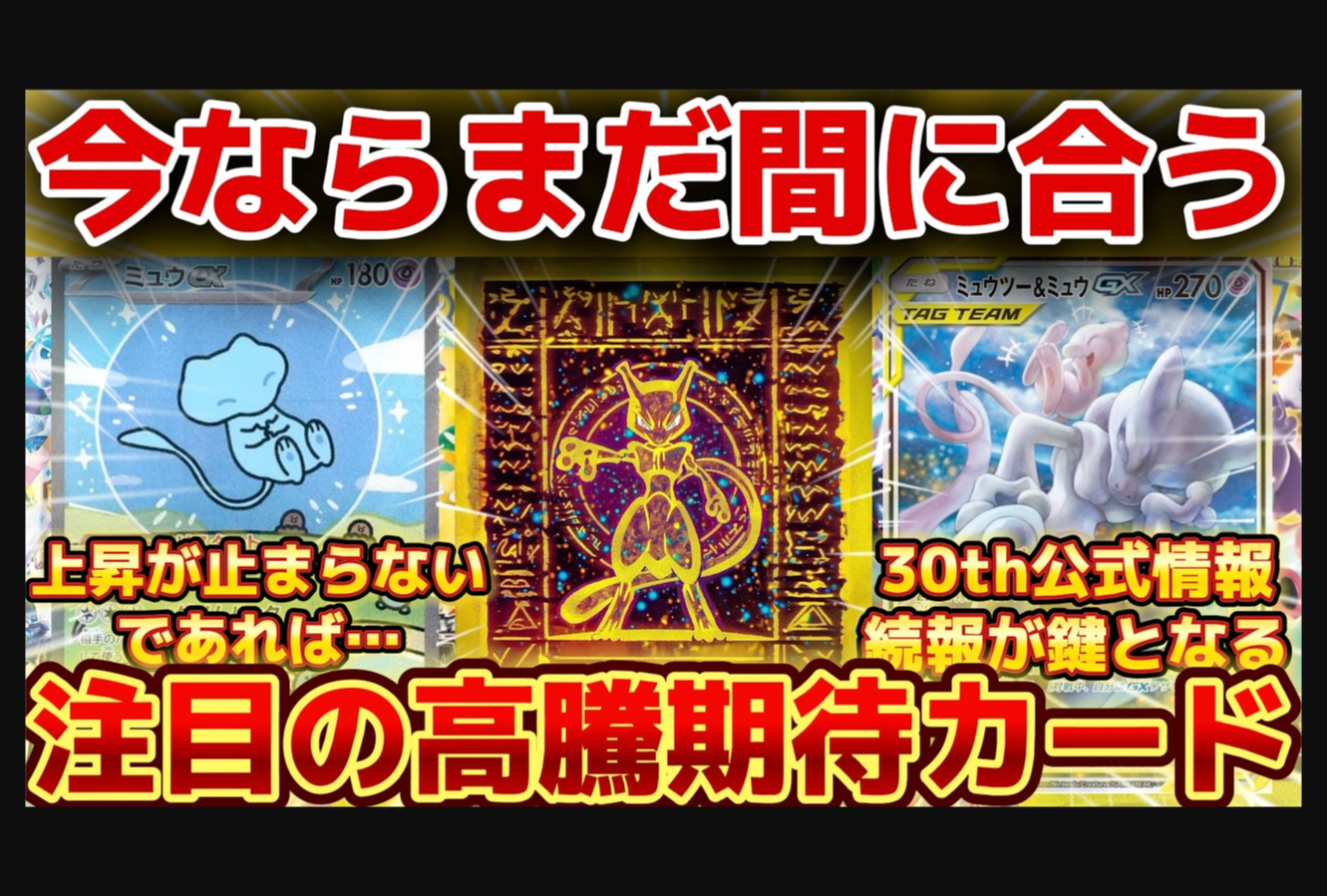 動画を読み込む: 